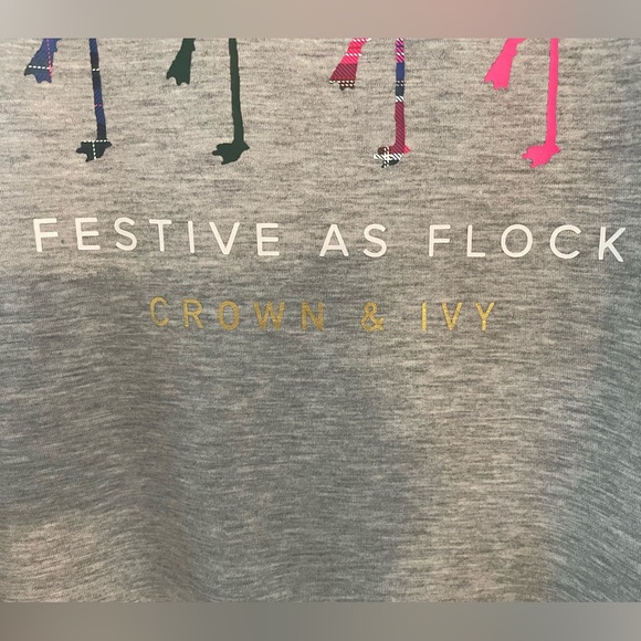 Crown & Ivy NWT Women’s Graphic “Festive As A Flock” Long Sleeve Grey T-shirt-L - Picture 4 of 9